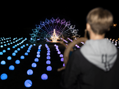 Interaktive Lichtinstallationen