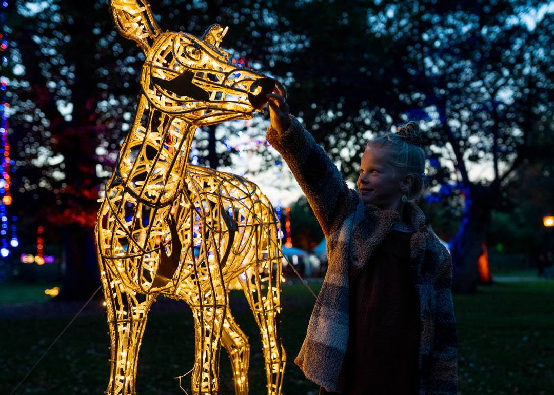 LUMAGICA Lichterpark 3